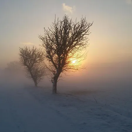 Schöna45 Lägenhet Dahme (Brandenburg)
