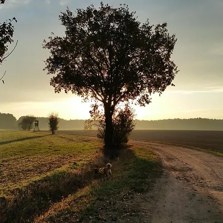 Lägenhet Schöna45 Dahme (Brandenburg)