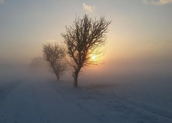 Schoena45 Διαμέρισμα Dahme (Brandenburg)