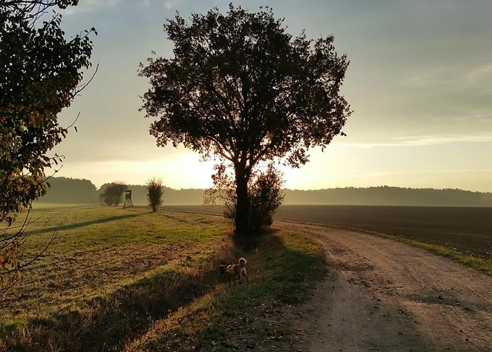 Διαμέρισμα Schoena45 Dahme (Brandenburg)